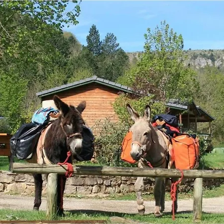 Accueillant Animaux - 5 Pers. - Api-1-52-2405 Camping Meyrueis