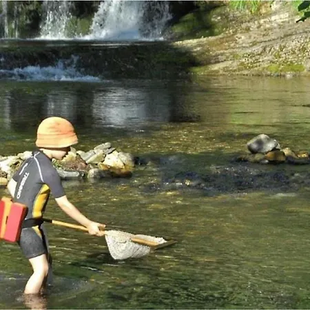 Camping Accueillant Animaux - 5 Pers. - Api-1-52-2405